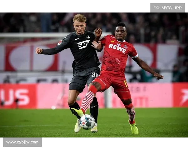 霍芬海姆足球俱乐部：德甲新兴力量的崛起与挑战分析